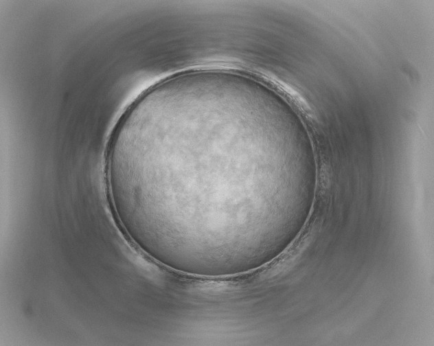 X0000116491470200912091411