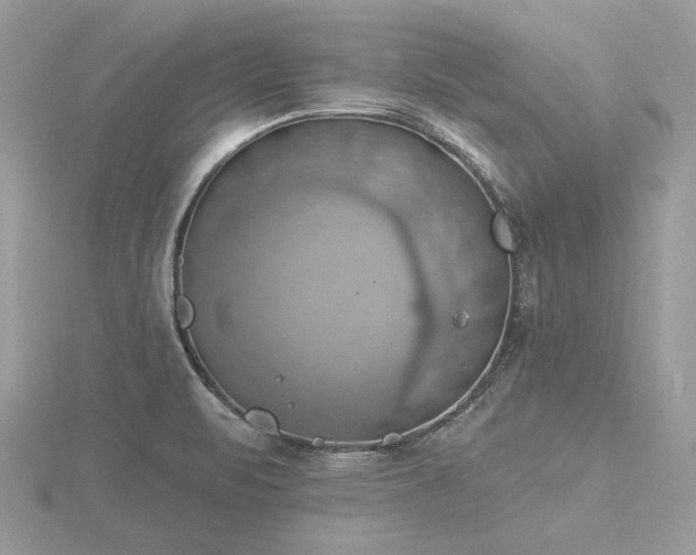 X0000116491471200912091411