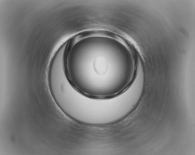 X0000116491472200912091411