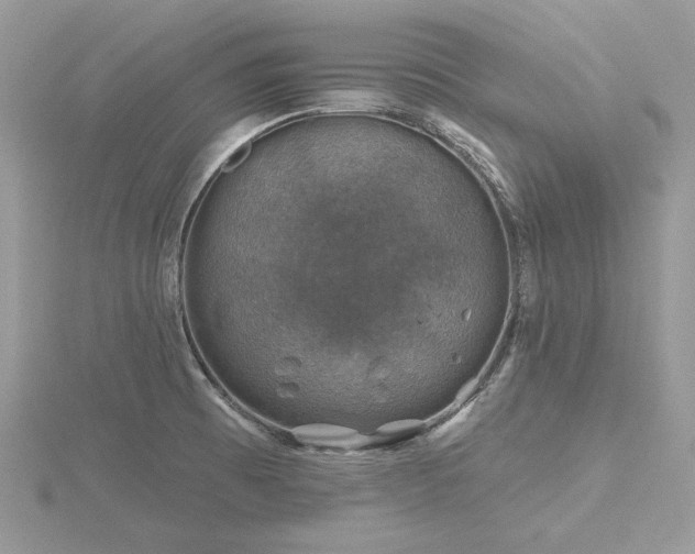 X0000116491473200912091411