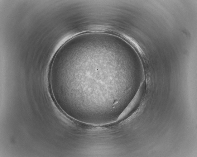 X0000116491475200912091411