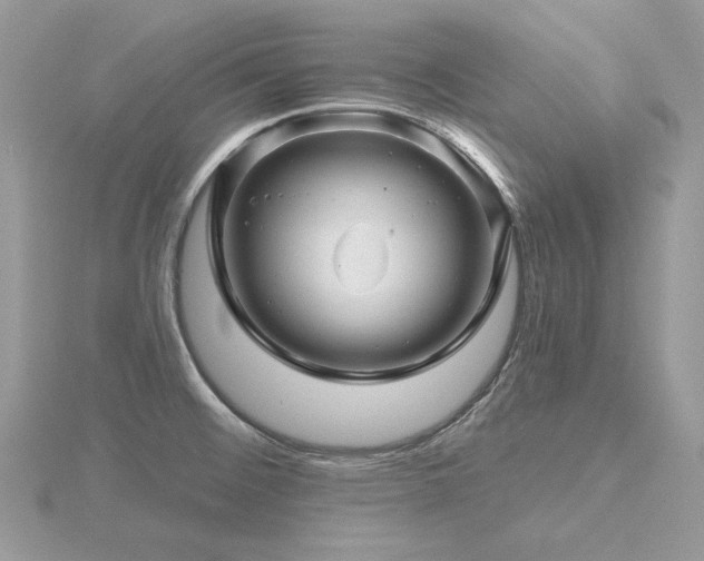 X0000116491476200912091411