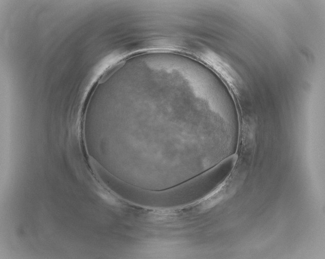 X0000116491477200912091411