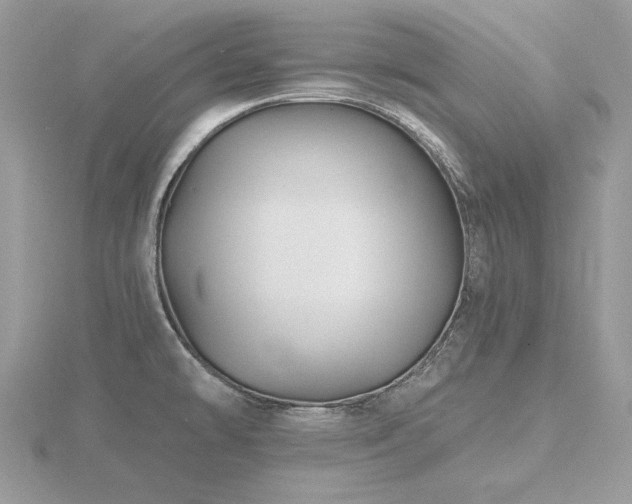 X0000116491478200912091411