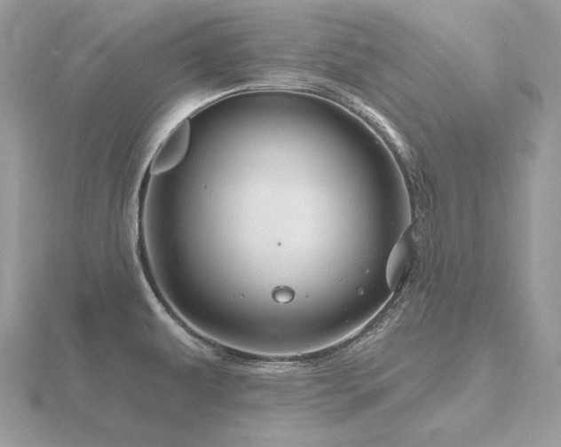 X0000116491479200912091411