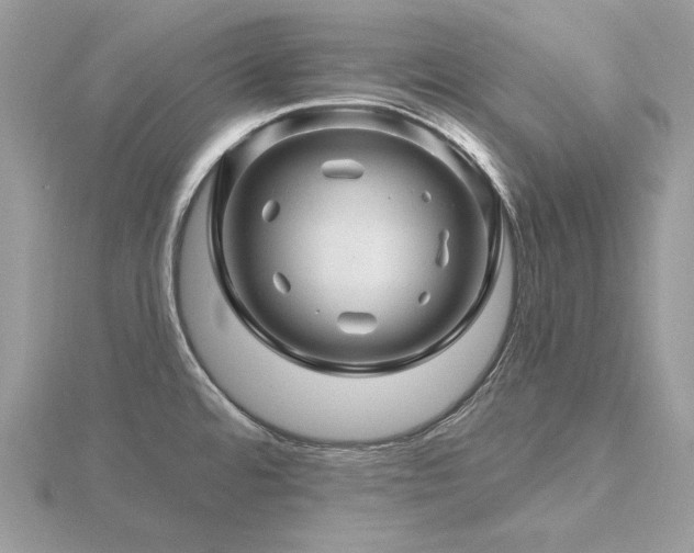 X0000116491480200912091411