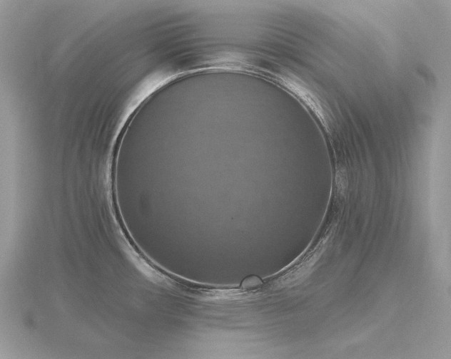 X0000116491482200912091411