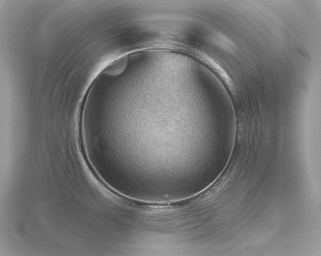 X0000116491483200912091411