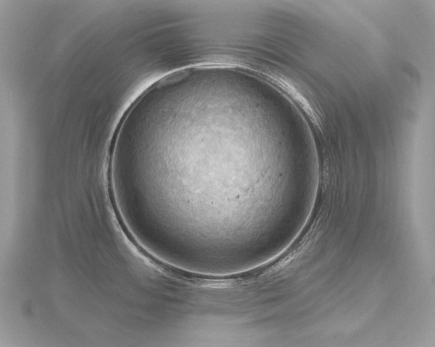 X0000116491484200912091411