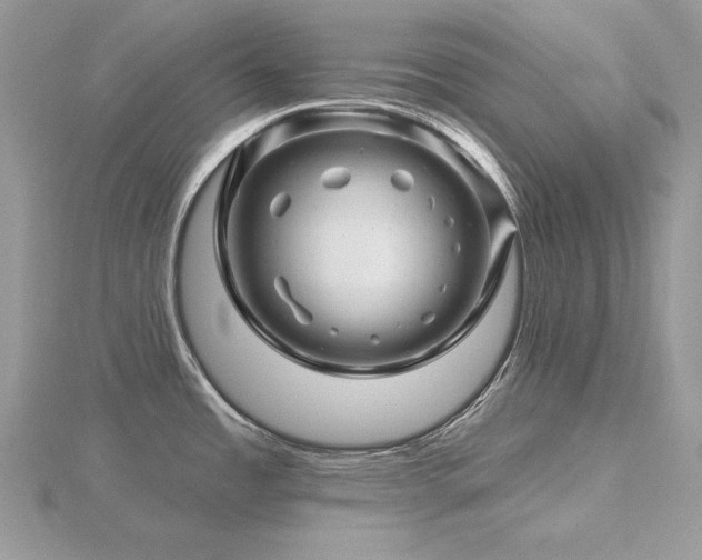 X0000116491485200912091411