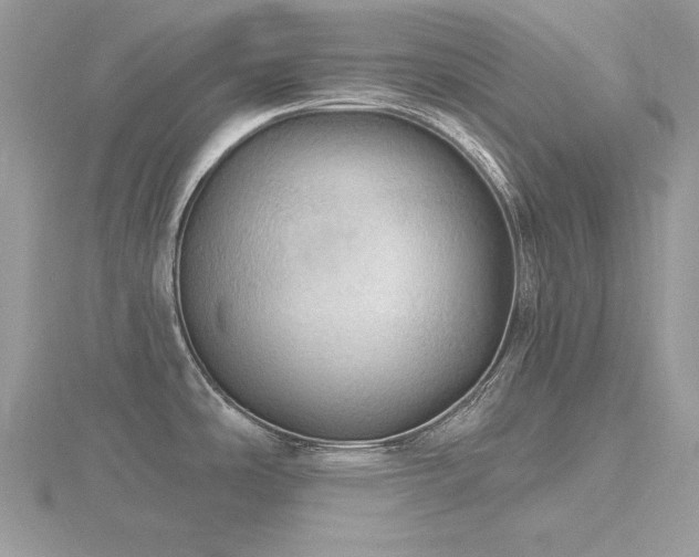 X0000116491486200912091411