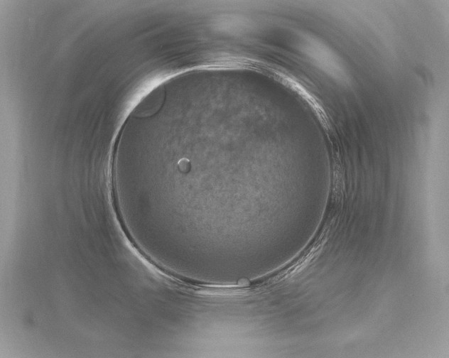 X0000116491487200912091411