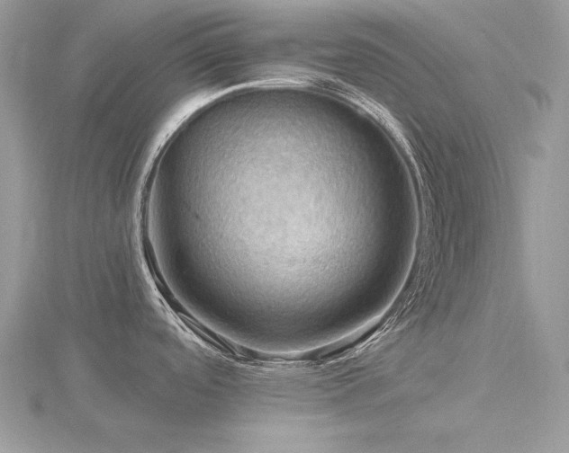 X0000116491488200912091411