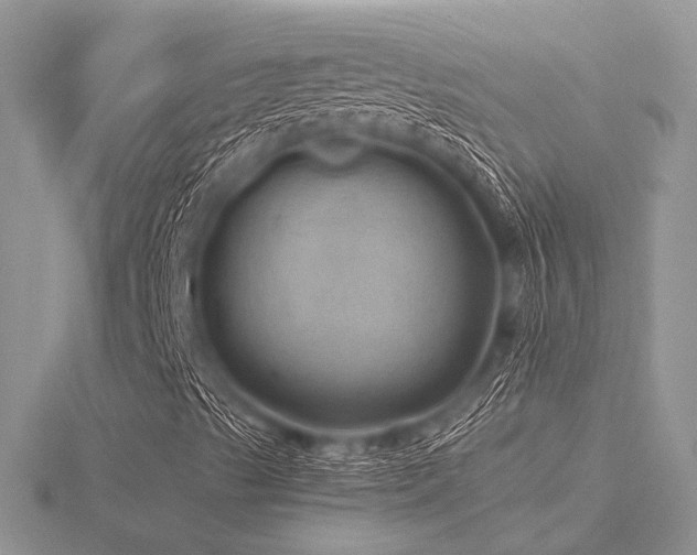 X0000116491489200912091410