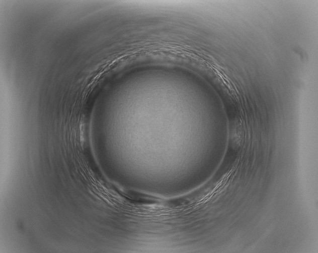 X0000116491490200912091410