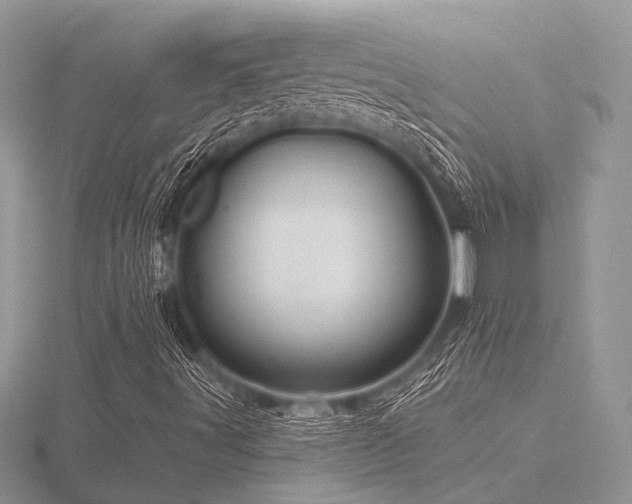 X0000116491491200912091410