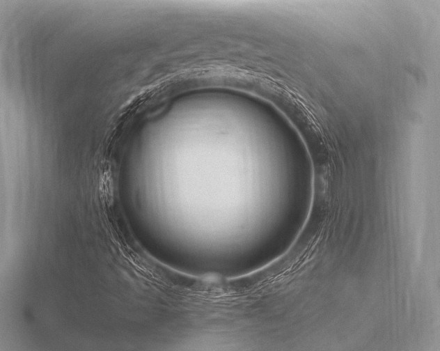 X0000116491493200912091410