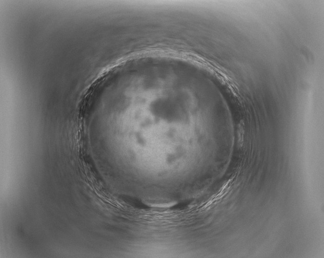 X0000116491494200912091410