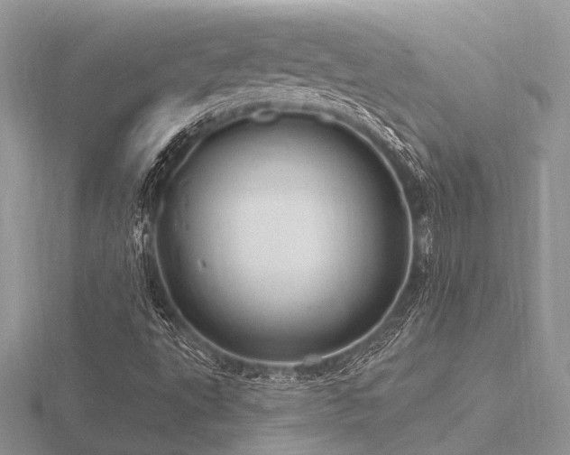 X0000116491495200912091410