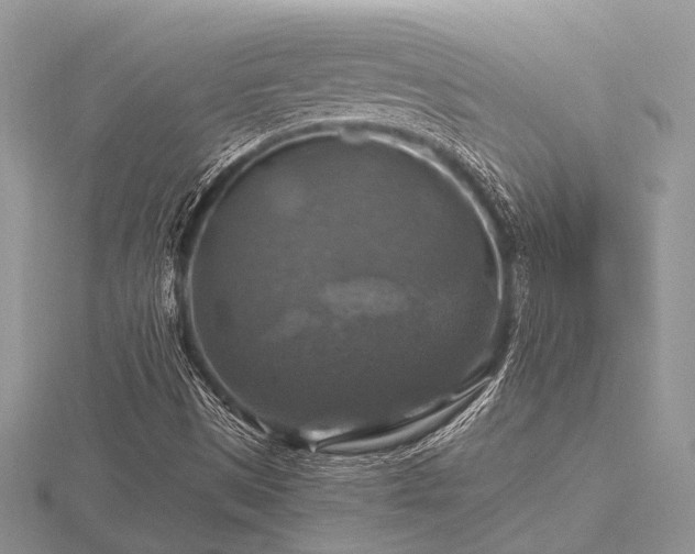 X0000116491497200912091410