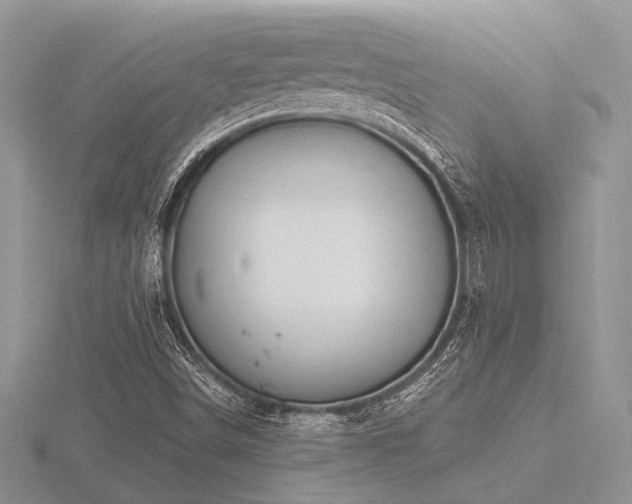 X0000116491498200912091410