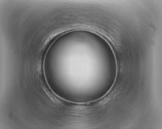 X0000116491499200912091410