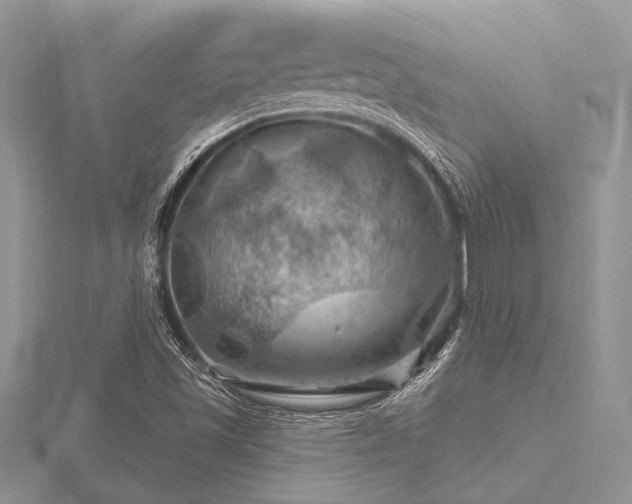 X0000116491501200912091410