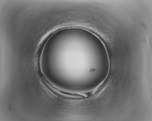 X0000116491502200912091410