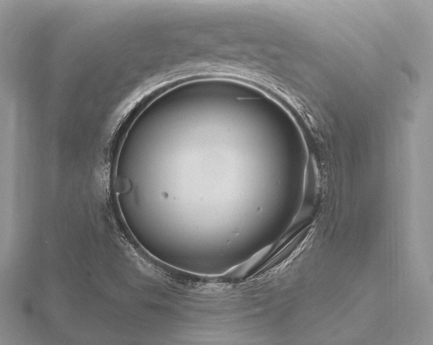 X0000116491503200912091410