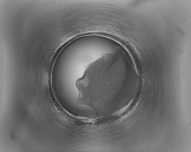 X0000116491505200912091410