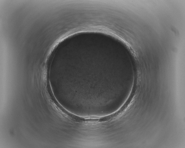 X0000116491506200912091410