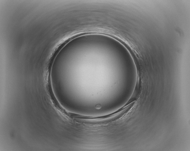 X0000116491507200912091410