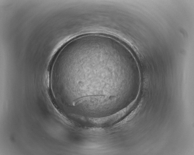 X0000116491509200912091410