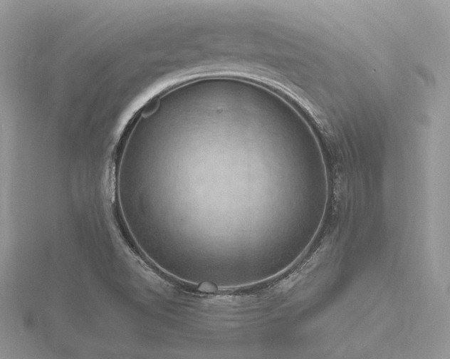 X0000116491510200912091410