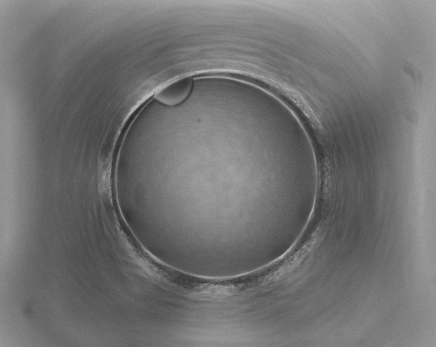 X0000116491513200912091410