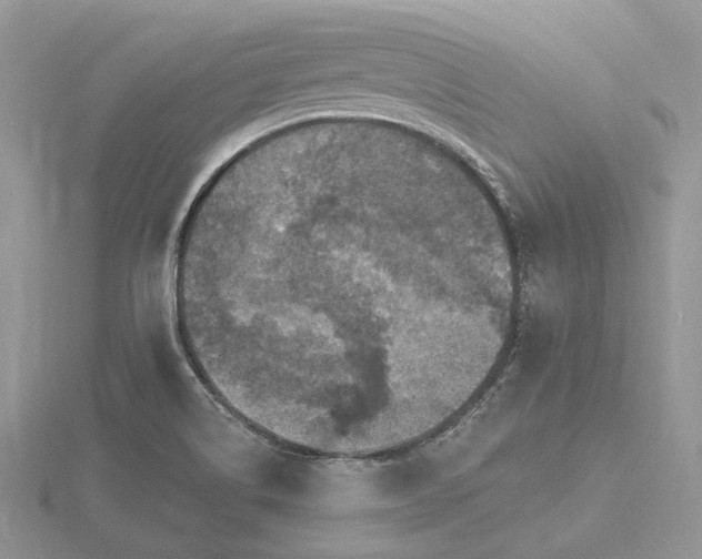 X0000116491514200912091410