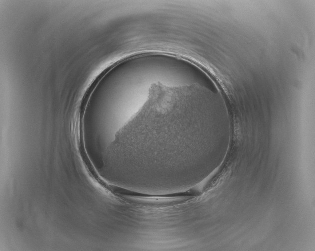 X0000116491515200912091410