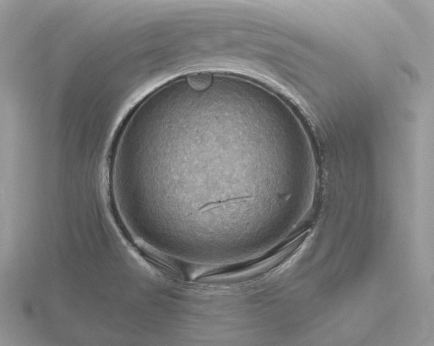 X0000116491517200912091410