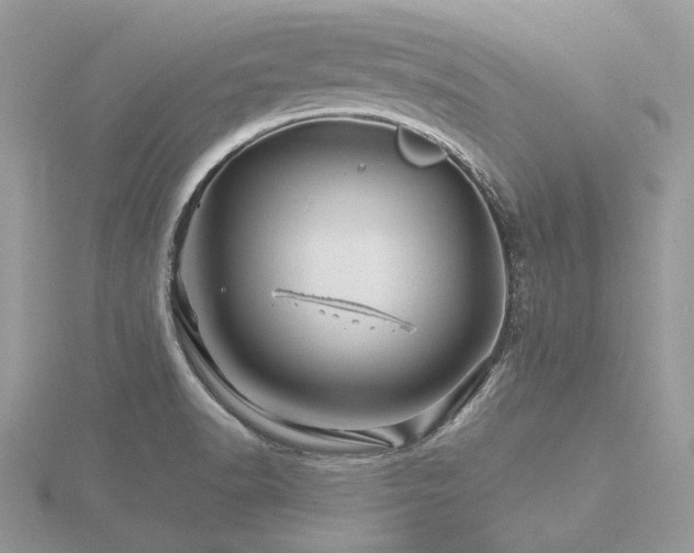 X0000116491518200912091410