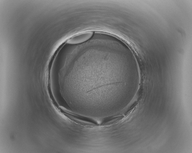 X0000116491519200912091410