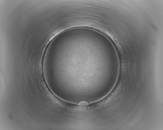 X0000116491521200912091410