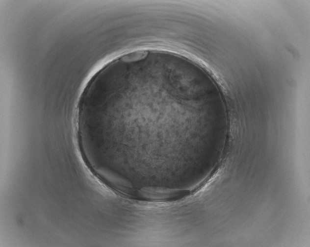 X0000116491522200912091410