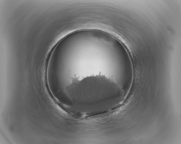 X0000116491525200912091410