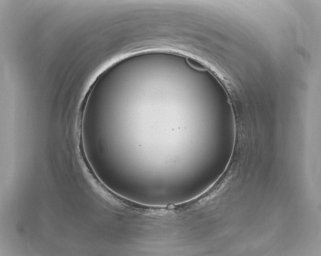 X0000116491526200912091410