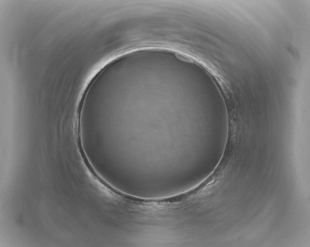 X0000116491527200912091410