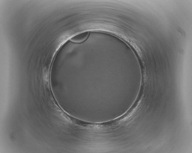 X0000116491529200912091410