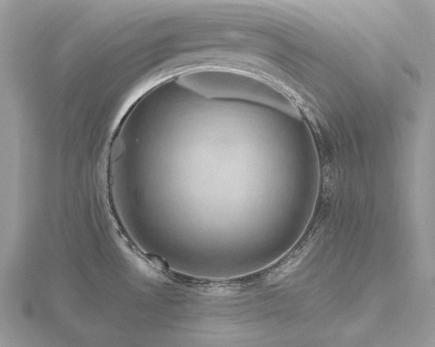 X0000116491530200912091410