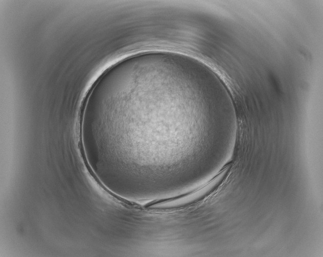 X0000116491531200912091410