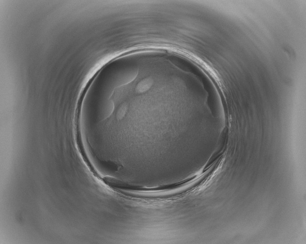 X0000116491533200912091410