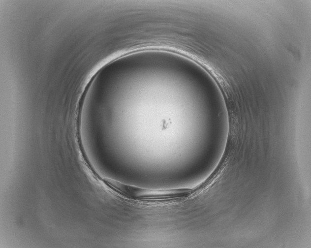 X0000116491534200912091410